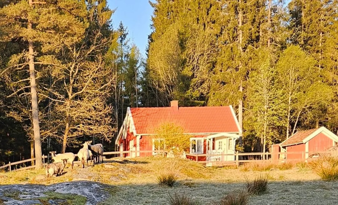 Mollaryd Dragås i Ljung