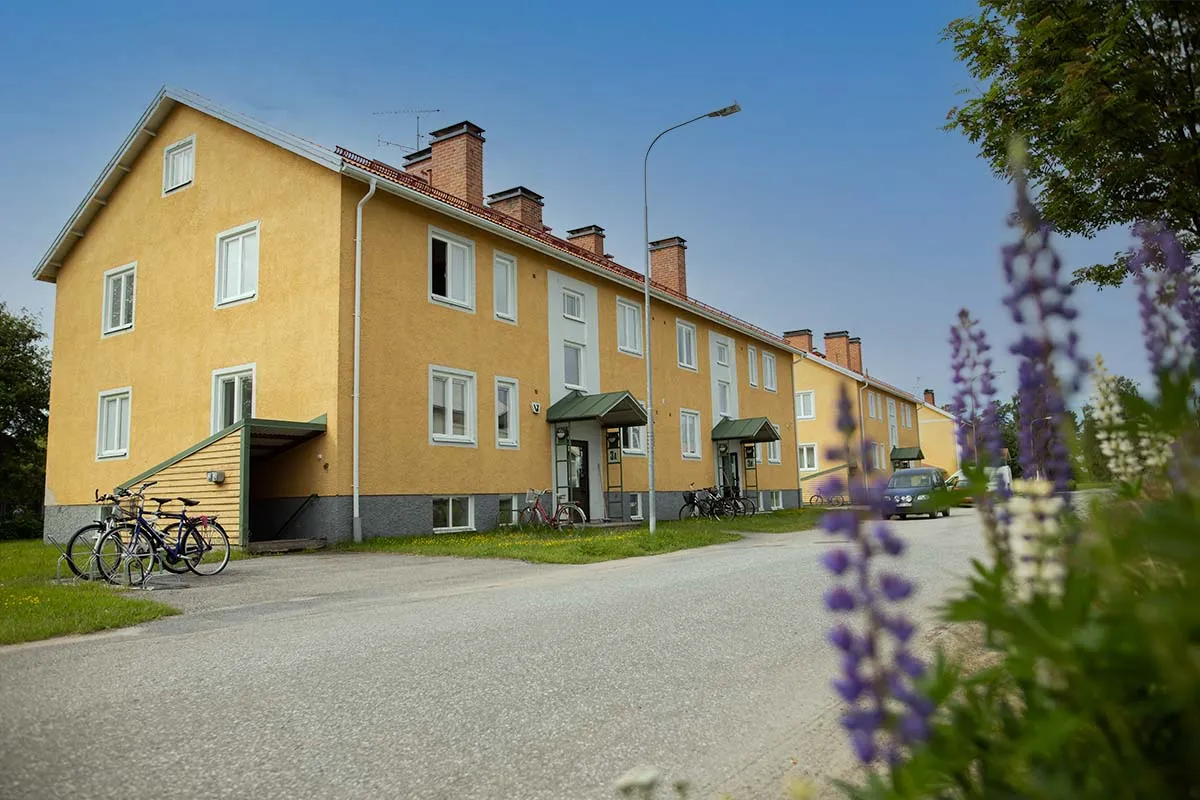 Lillsvedjevägen i Vindeln