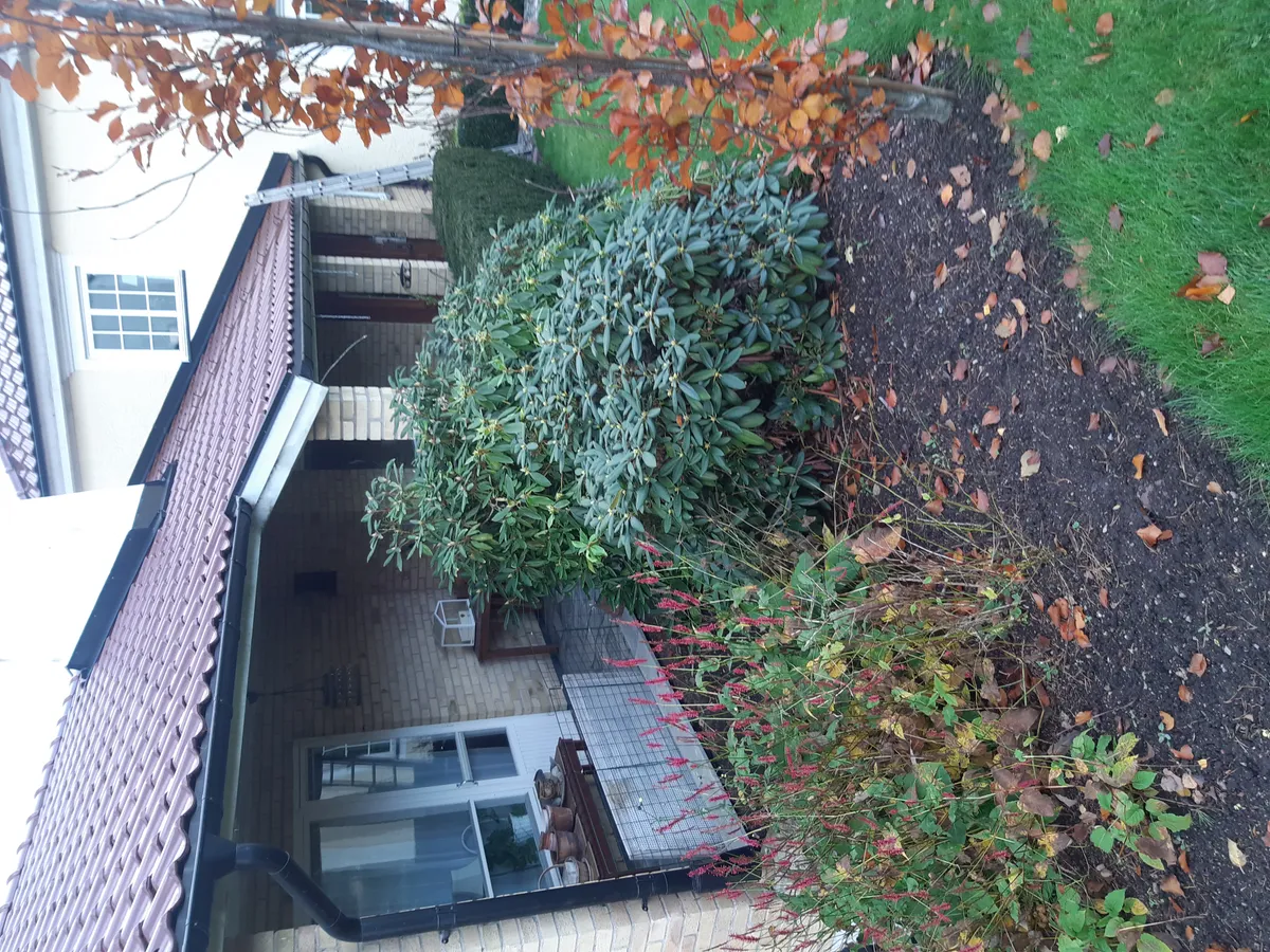 Norrgårdsvägen i Linghem