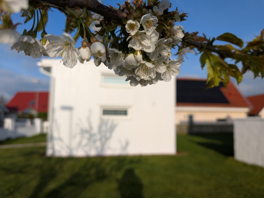 Axvägen i Skegrie