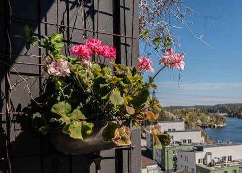 Tollareslingan i Saltsjö-boo