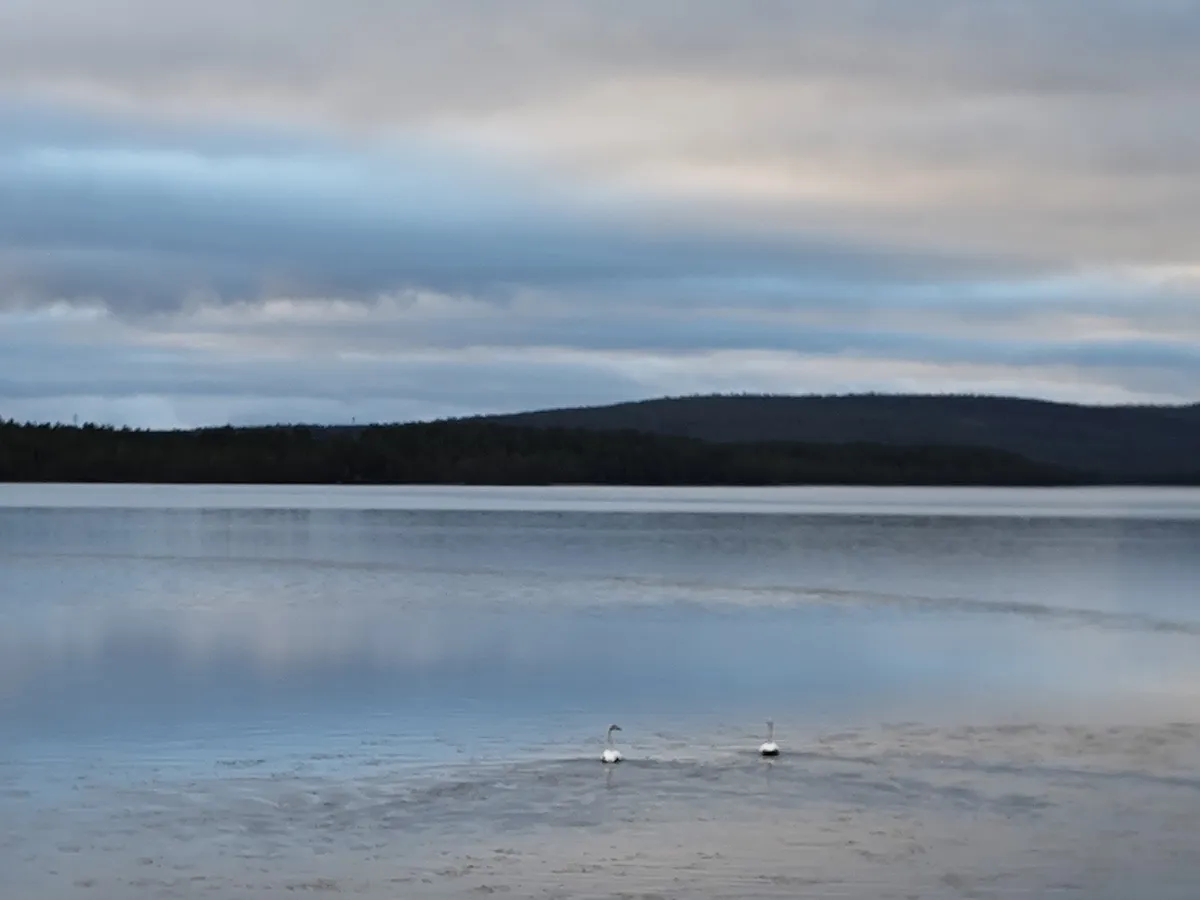 Tårrajaur i Jokkmokk