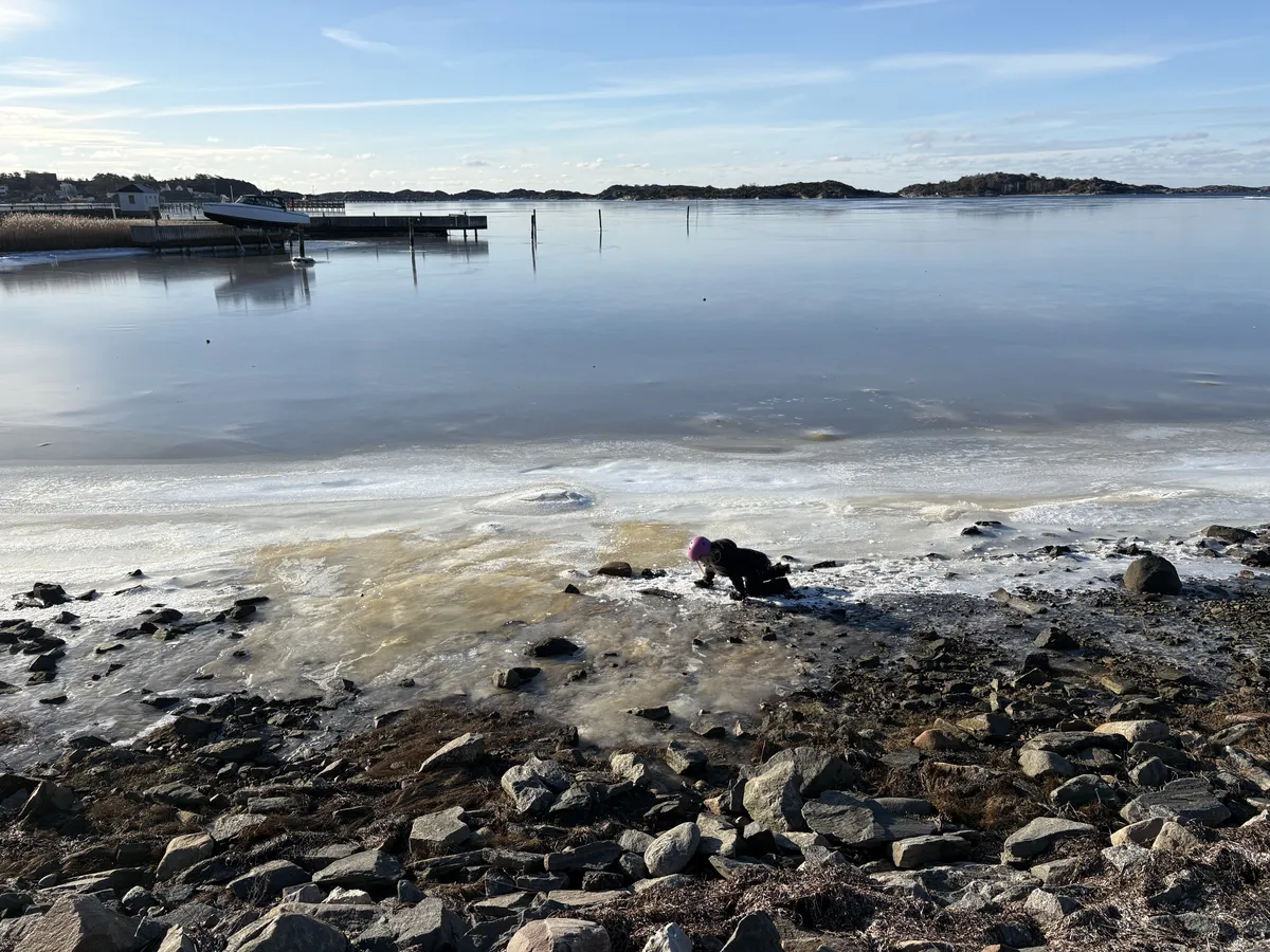Nyhagen i Billdal