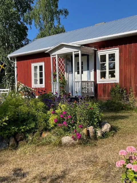 Furuögrund i Byske