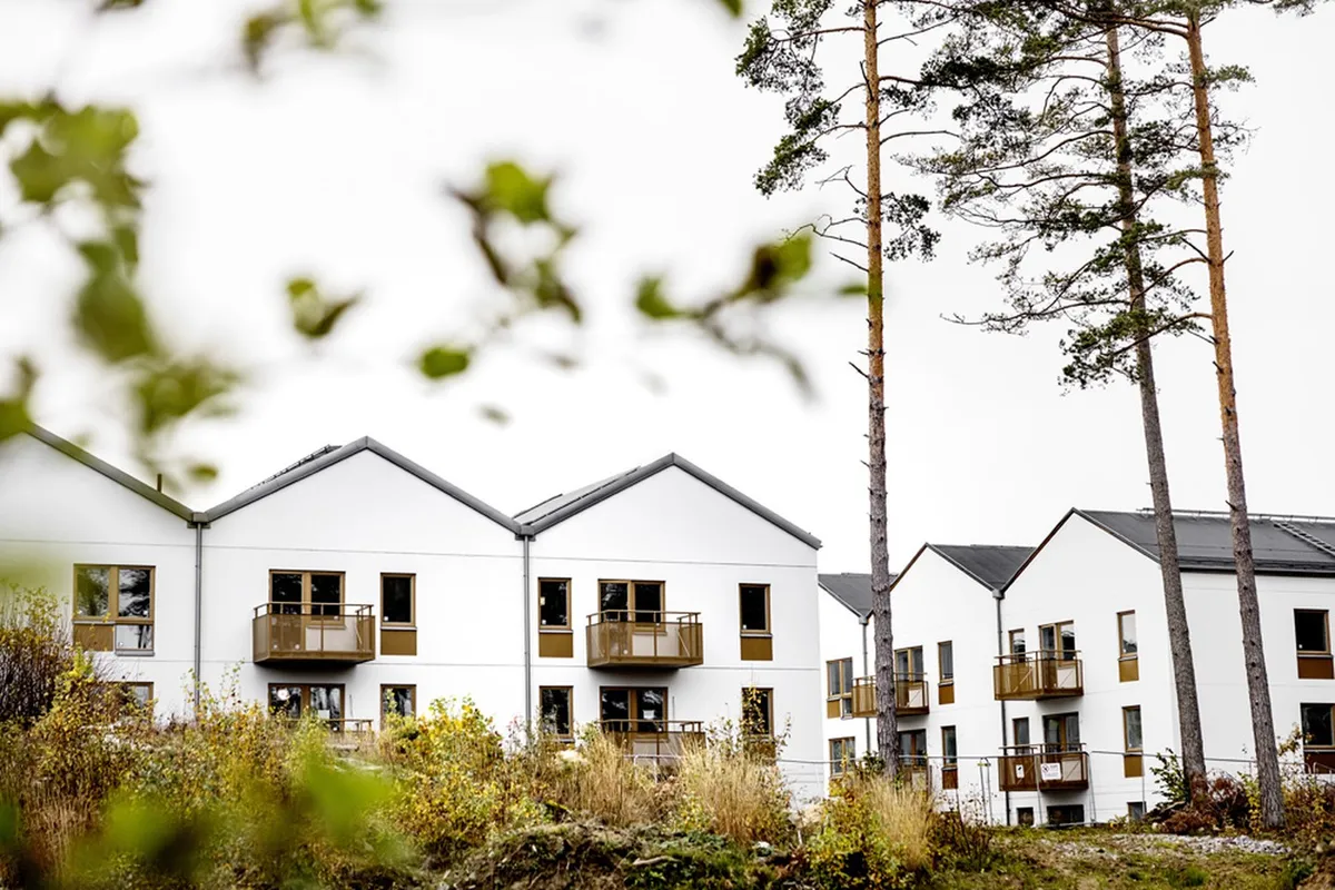 Taggsvampsvägen i Nykvarn