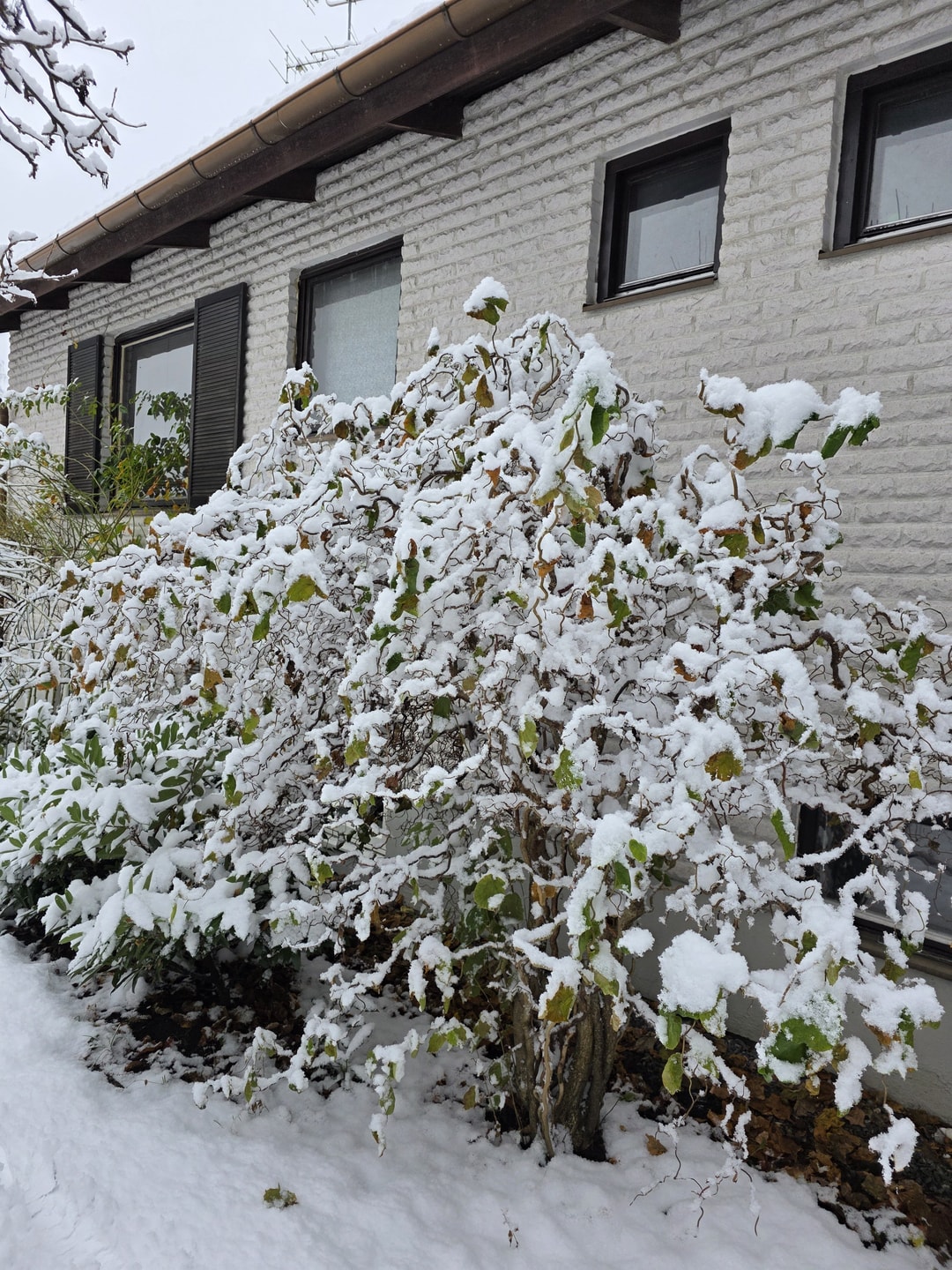 Sippedalsvägen i Partille