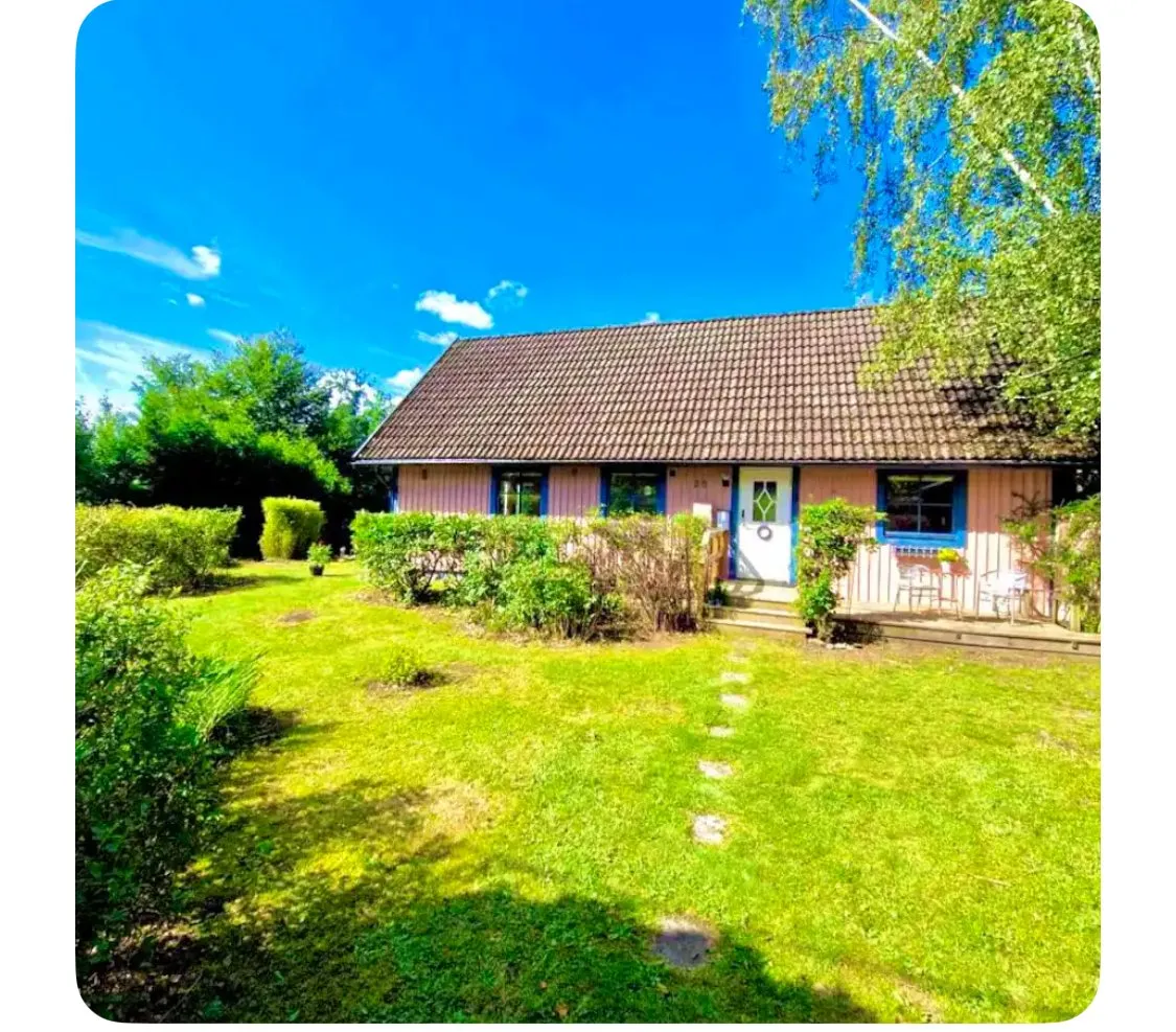 Björnbärssnåret i Ljungbyhed