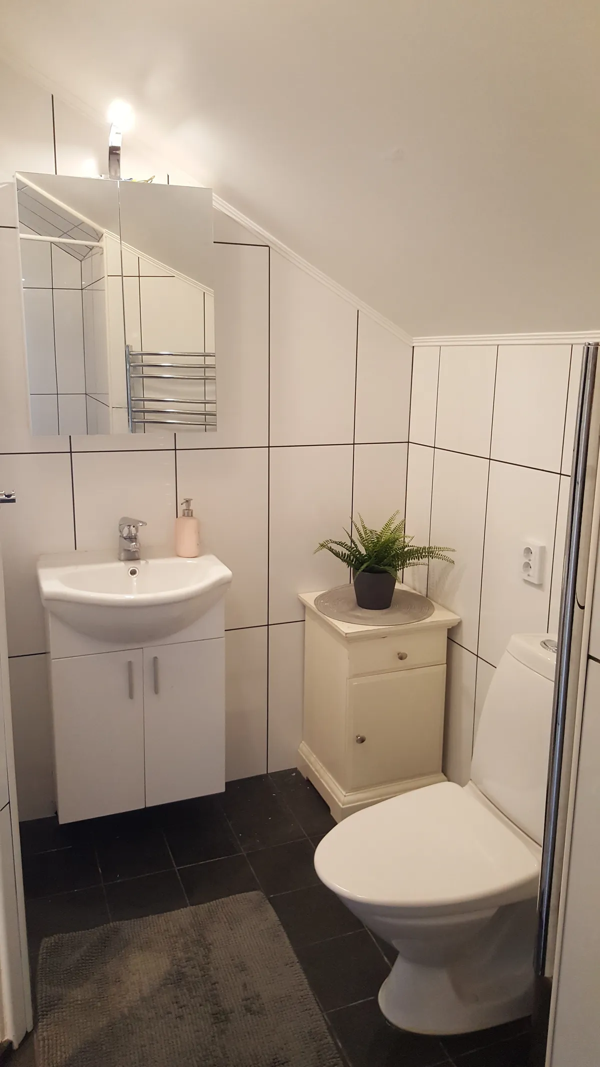 Västkustvägen i Hasslarp