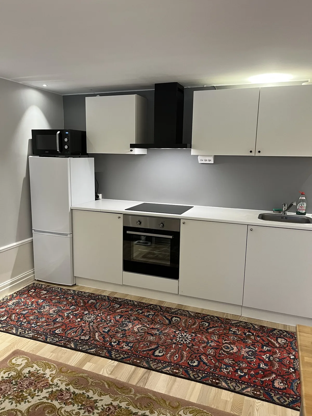 Vallhagsvägen i Vega