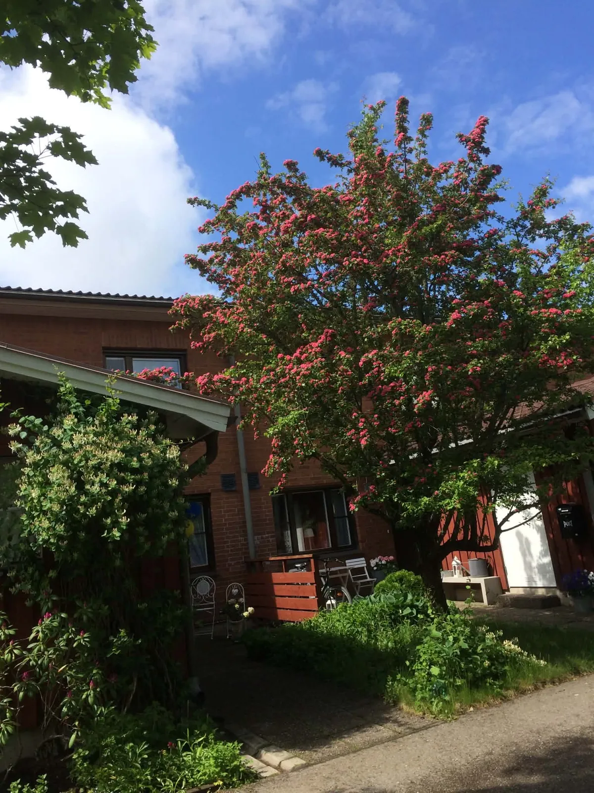 Svartbäcksgatan i Uppsala