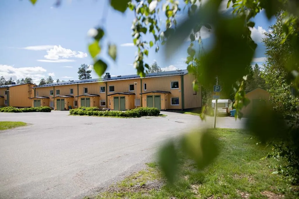 Hallonvägen i Vindeln